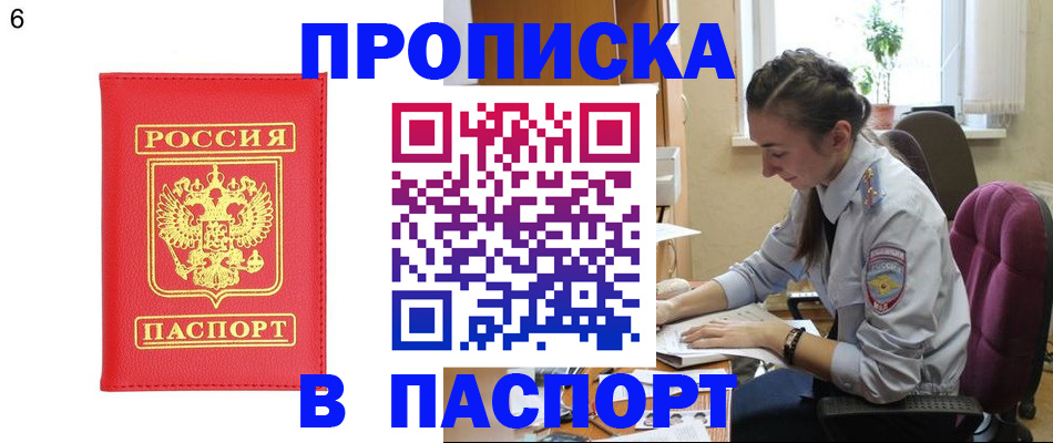 прописка гарантия в Фрязино